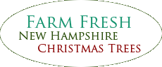 New Hampshire Christmas Trees
