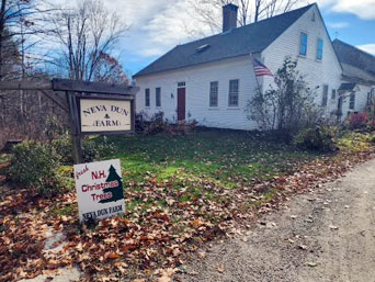 Neva Dun Farm Christmas Trees